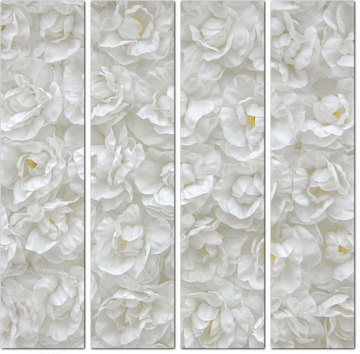 Белые цветы 3D