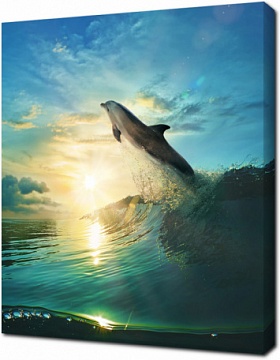 Дельфин о волны