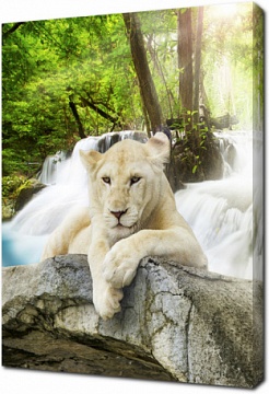 Белый лев на фоне водопада