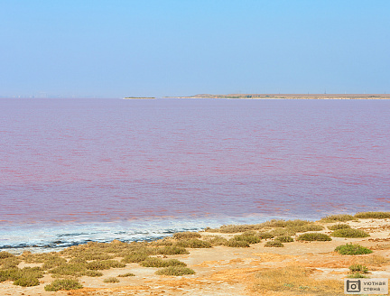 Фотообои Розовое озеро в Крыму