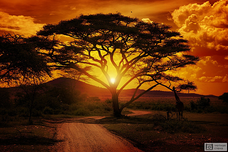 Фотообои Закат в Африке