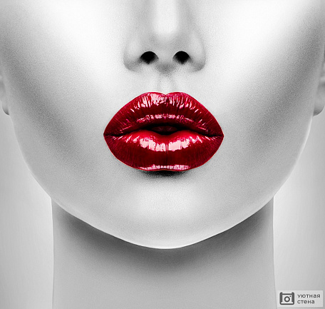 Яркие женские губы