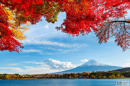 Фотообои Гора Фудзияма осенью