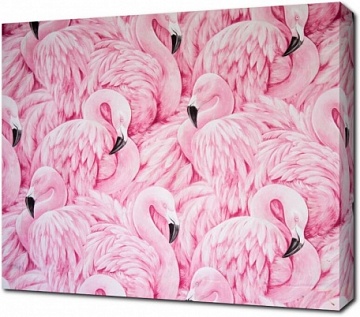 Ритмы розовых фламинго