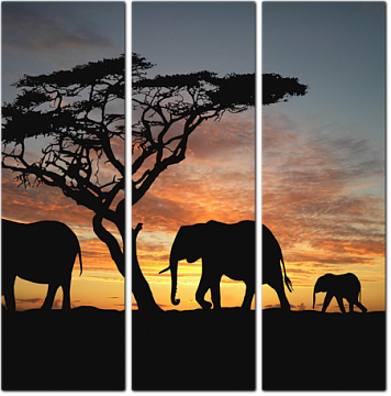 Силуэты слонов на закате в Африке