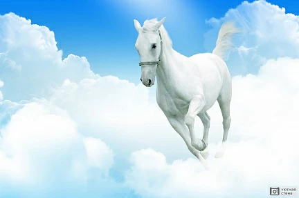 Белый конь в облаках
