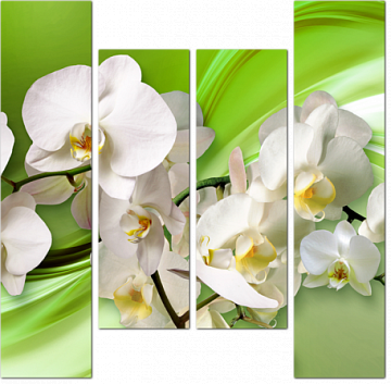Белые орхидеи 3D на зеленом фоне