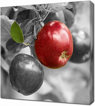 Красное яблоко на черно-белом изображении
