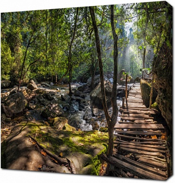 Тропический лес с деревянным мостом