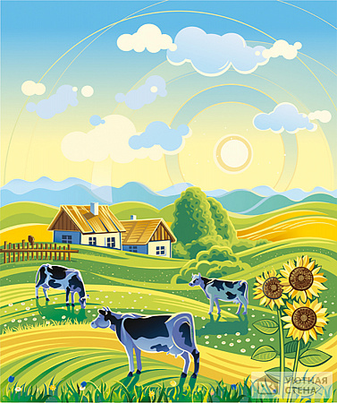 Коровы в поле на фоне восходящего солнца