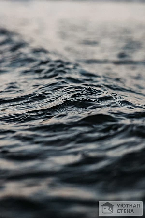 Поверхность воды