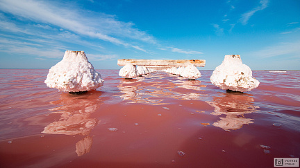Фотообои Розовое соленое озеро в Крыму