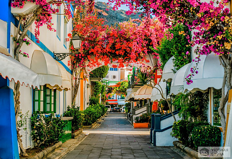 Фотообои Цветущая улица в Пуэрто-де-Моган, Испания