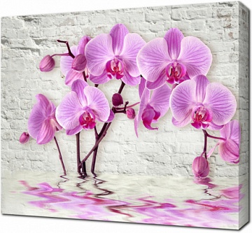 3D Розовая орхидея на фоне белой кирпичной стены