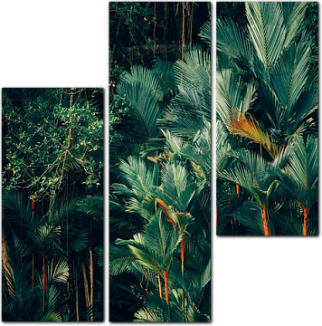 Пышные листья в тропическом лесу