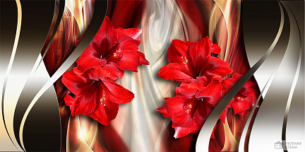 Прекрасный цветок амариллис 
