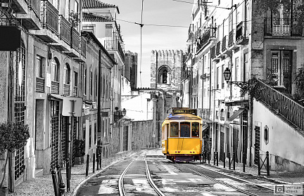 Фотообои Жёлтый трамвай