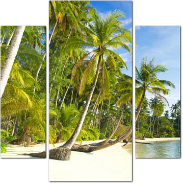 Красивый пляж с пальмами