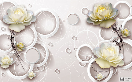 3D Бархатные розы и круги
