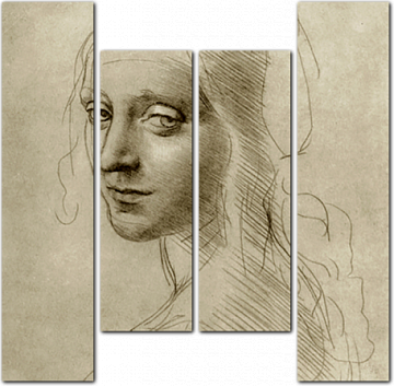 Леонардо да Винчи - Портрет женщины