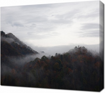 Холмы украшенные туманом и лесом
