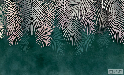 Пушистые листья пальмы на зеленом