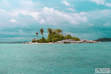 Остров с пальмами в море