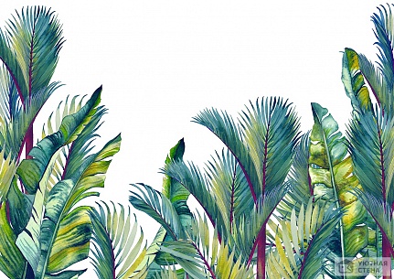 Акварельные листья редких пальм