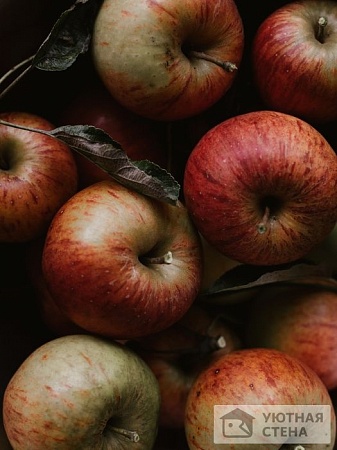 Сочный плод яблони