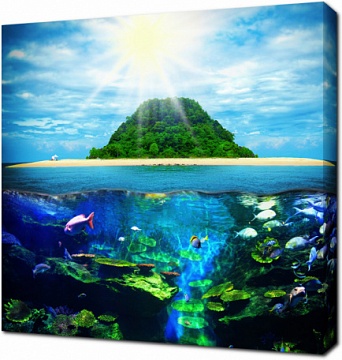 Подводный мир тропического острова