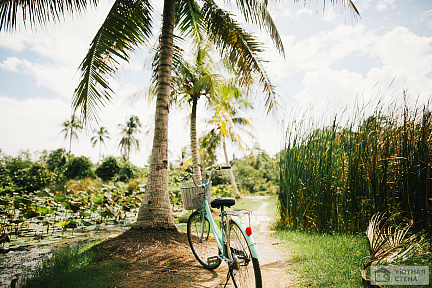 Райские прогулки на велосипеде