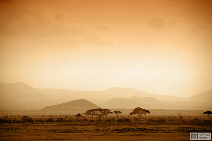 Фотообои Сногсшибательный пейзаж Африканской саванны