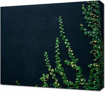 Стена украшенная зелеными листьями