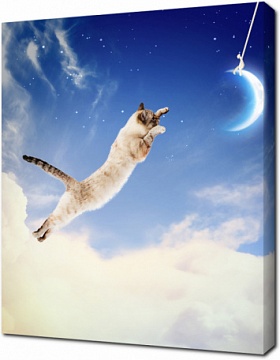 Кот прыгает к луне