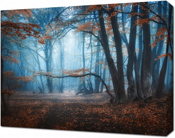 Загадочный лес в туман
