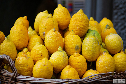 Желтые сочные лимоны