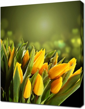 Букет желтых тюльпанов на красивом фоне