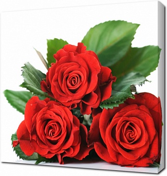 Букет из трех красных роз