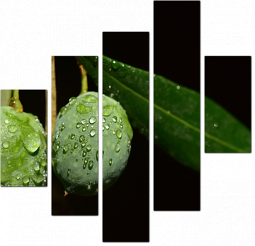 Оливки с каплями дождя