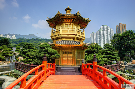 Фотообои Золотой павильон в саду Нан Лиан, Гонконг, Китай.