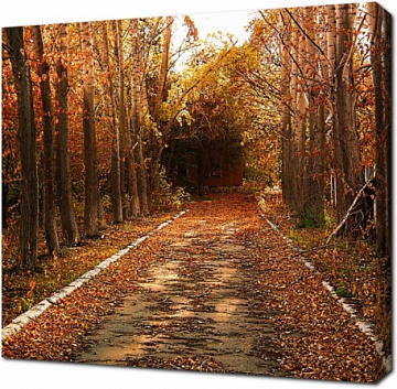 Дорога в осеннем парке усыпанная листьями