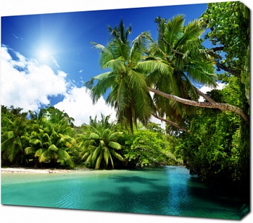Тропическое побережье с пальмами