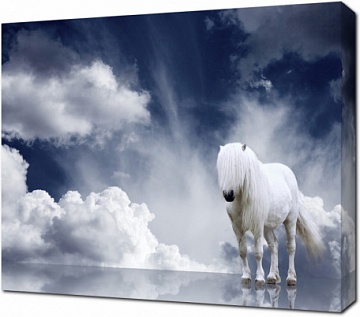 Лошадь на фоне белых облаков