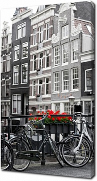 Клумба красных цветов на фоне домов Амстердама