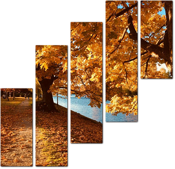 Раскидистые деревья золотой осенью