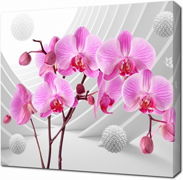 Розовые орхидеи на черно-белом фоне