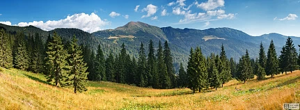 Горы и лес